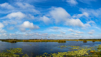 Orlando Wetlands 2022