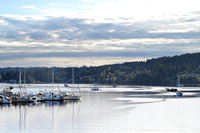 The harbour in Poulsbo.