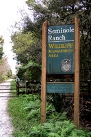 Seminole Ranch Jan '15