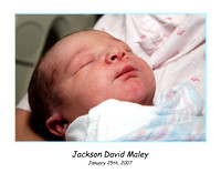 Jackson David Maley