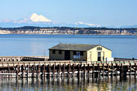 Marine Science Center at Fort Worden, with Mt. Baker in the distance.