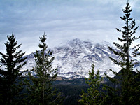 The Majestic, Mount Rainier