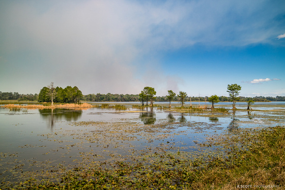 fire and smoke behind the wetlands