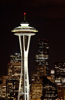 From this viewpoint, the Space Needle looks pretty big against the distant skyline.