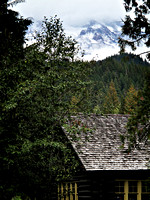 Nearing Mt. Rainier, a view from the Longmire Information Center.
