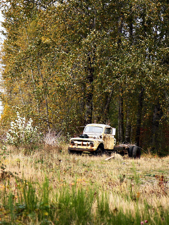 Vintage pickup truck along the highway to Mt. Rainier.
